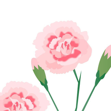J'espère que vous passez une belle journée de Pâques 🐰 
#pâques #illustration #illustratrice #clavel #oeillet #vector #rose #spring #printemps